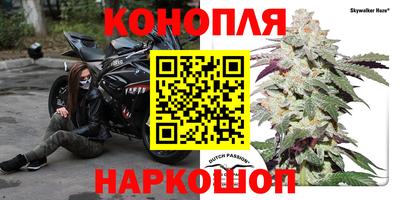 a pvp Заволжье