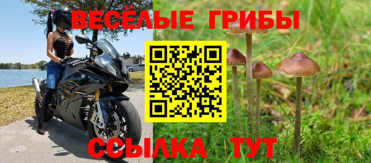 Псилоцибиновые грибы прущие грибы  Вход с VPN  Мелеуз 