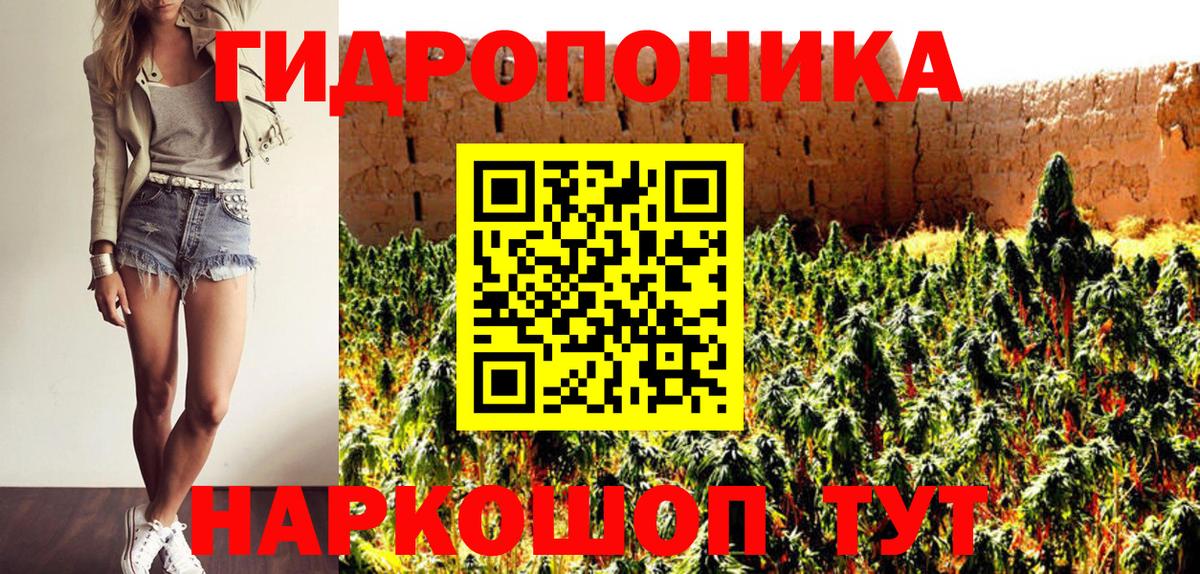 Канабис сатива  Вход с VPN  Марихуана планчик  Мелеуз 